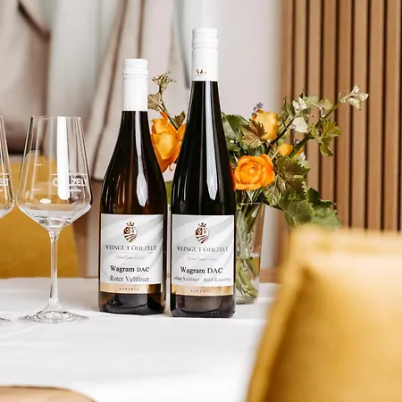 Orman Evi Weinrefugium Am Wagram - Weingut Oehlzelt
